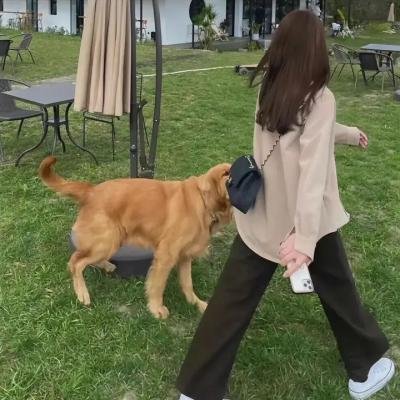 花生酱猎鹰