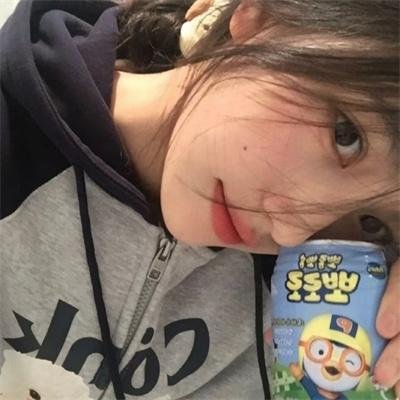 全面搜寻圣诞狗狗
